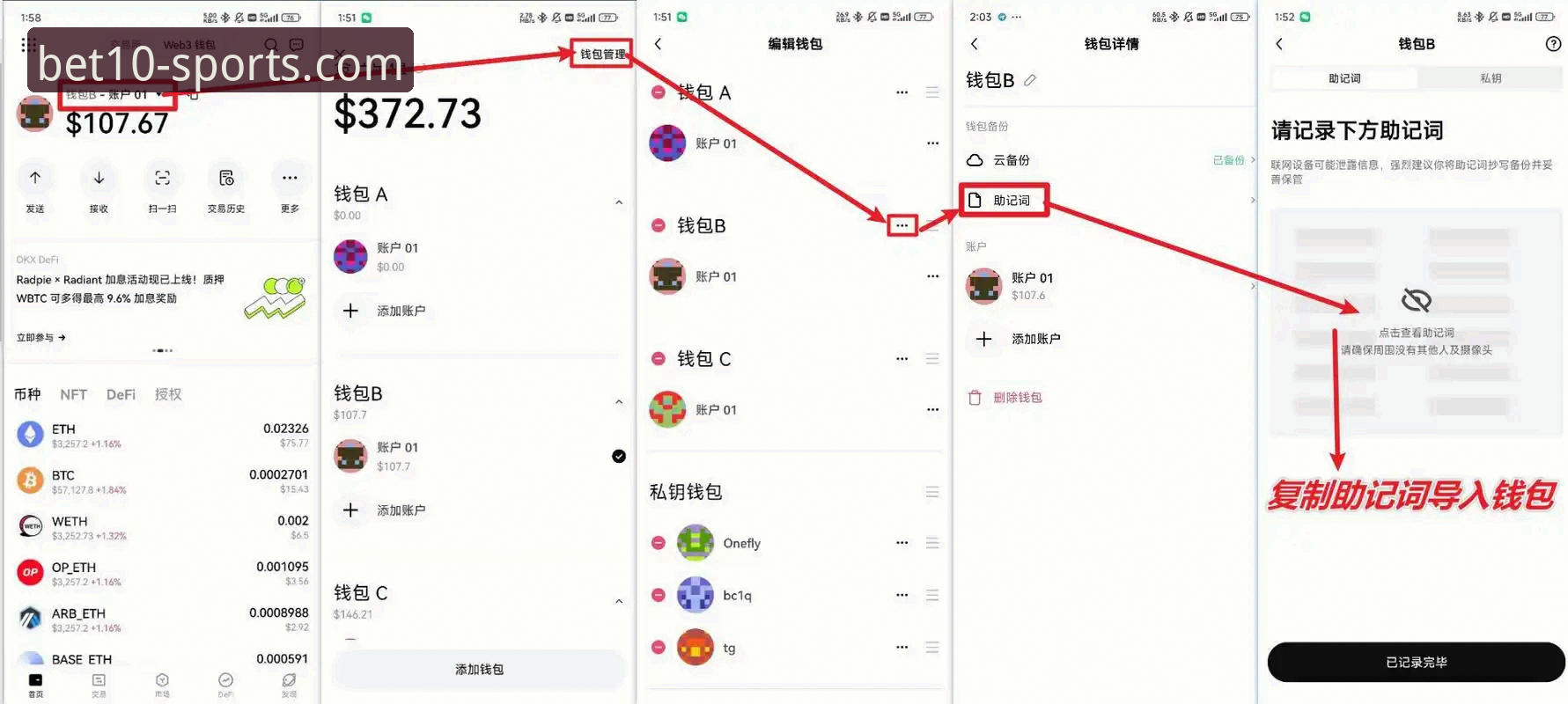 揭秘十博体育官方网站：新手必看的官方正版下载与使用全指南